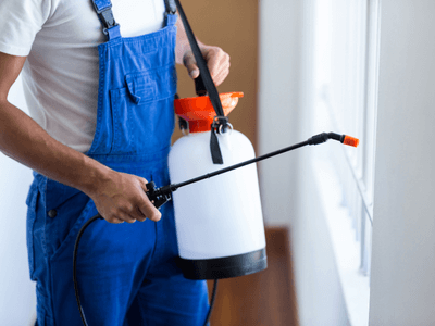 About Pest Control Mesa AZ - pest control mesa az experts in Mesa